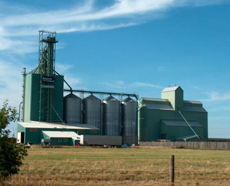Industria de granos